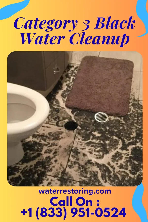 Category 3 Black Water Cleanup in Piermont, NY