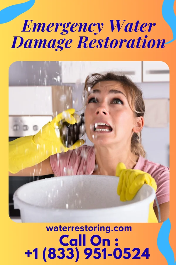 Emergency Water Damage Restoration in Piermont, NY