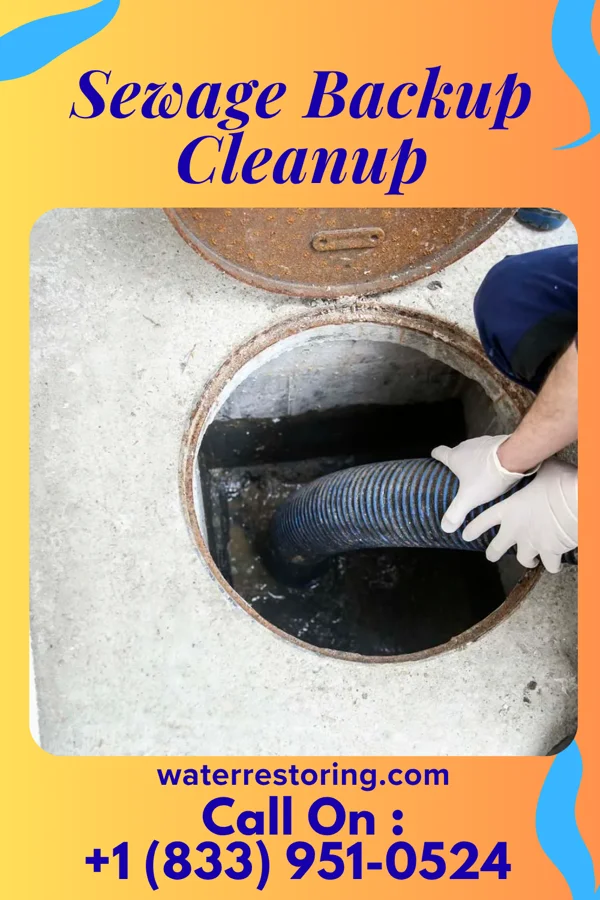 Sewage Backup Cleanup in Piermont, NY